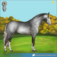 Horse Color:Gray Pseudo Chocolate Palomino Splash 