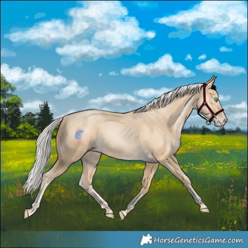Horse Color:Silver Buckskin Pearl