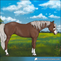 Horse Color:Silver Black 