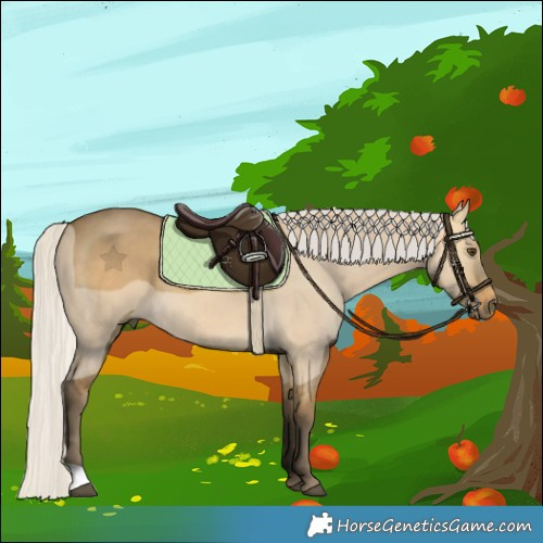 Horse Color:Silver Buckskin Dun