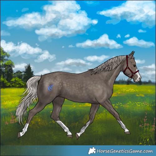 Horse Color:Silver Black 