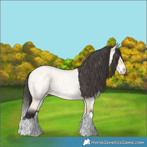 Horse Color:Buckskin Roan Dun Splash 