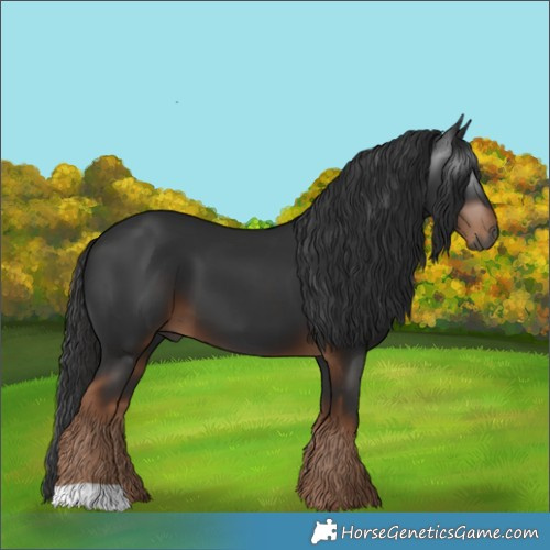 Horse Color:Gray Liver Chestnut 