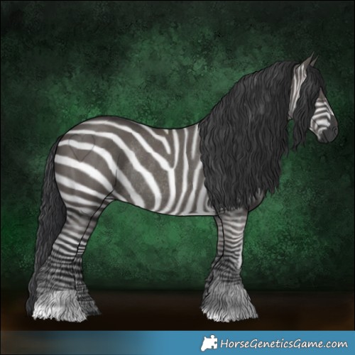 Horse Color:Grullo Rabicano 