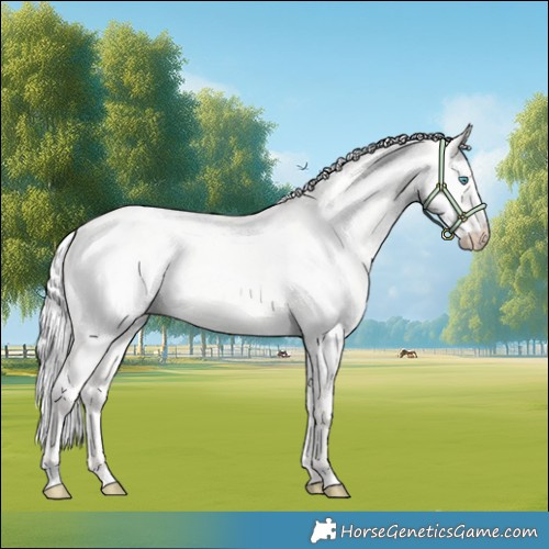 Horse Color:Silver Perlino Dun 