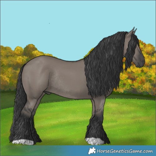 Horse Color:Grullo Rabicano 