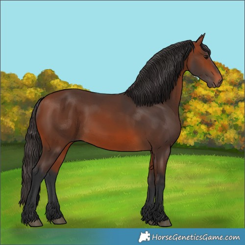 Horse Color:Bay Rabicano 