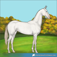 Horse Color:Smoky Creme Roan Dun 