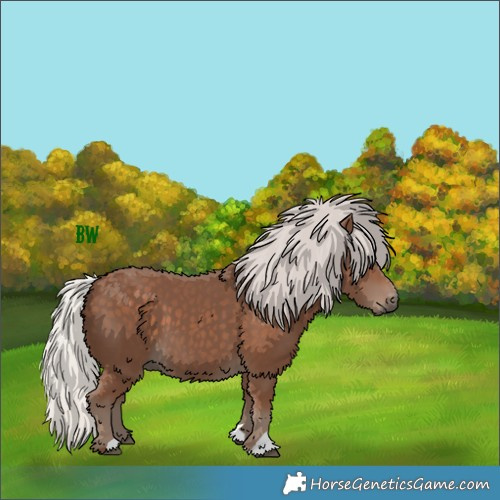 Horse Color:Silver Black