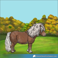 Horse Color:Silver Black