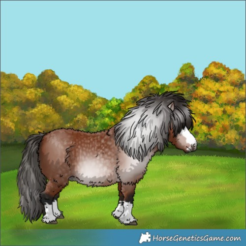 Horse Color:Gray Bay