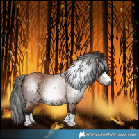 Horse Color:Gray Bay