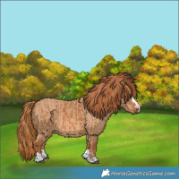 Horse Color:Chestnut  and Red Dun 