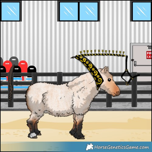 Horse Color:Bay Roan Dun 