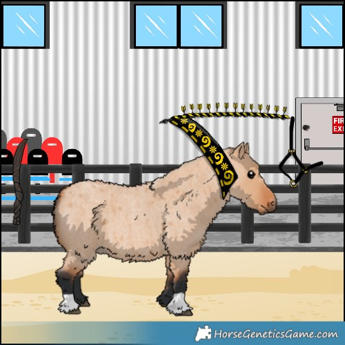 Horse Color:Bay Roan Dun 