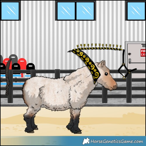 Horse Color:Bay Roan Dun 