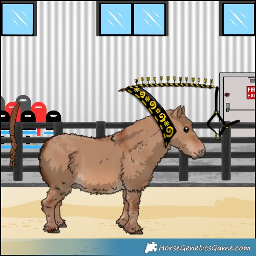 Horse Color:Red Dun 