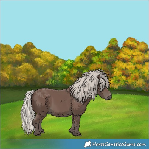 Horse Color:Silver Black 