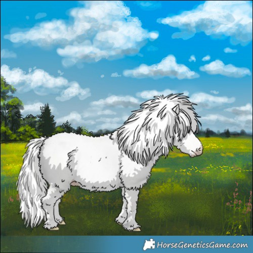 Horse Color:Cremello Dun