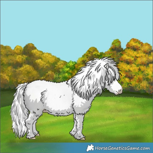Horse Color:Cremello Dun