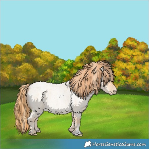 Horse Color:Buckskin Roan Pearl  and Buckskin Roan Pearl 