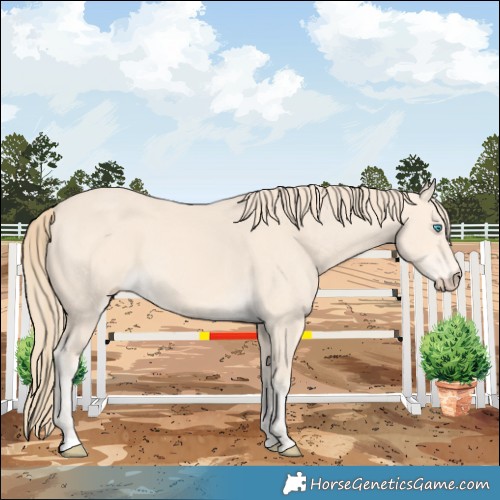 Horse Color:Perlino
