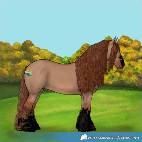 Horse Color:Void Red Dun 