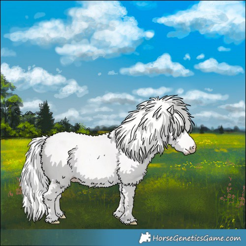Horse Color:Cremello Dun 