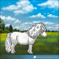 Horse Color:Cremello Dun