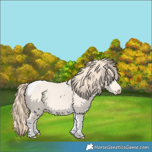 Horse Color:Perlino Dun Tobiano 