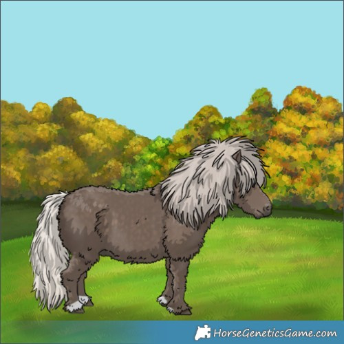 Horse Color:Silver Black 