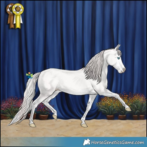 Horse Color:Perlino Splash