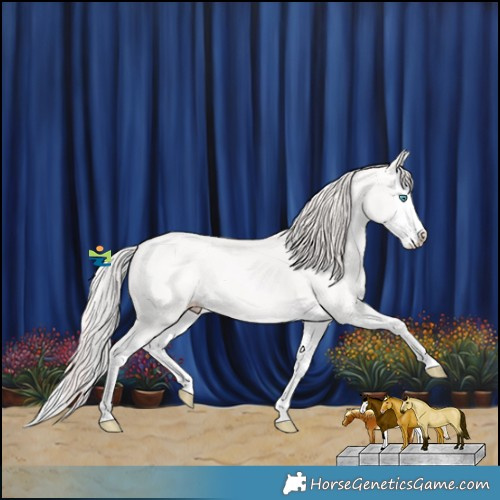 Horse Color:Perlino Splash