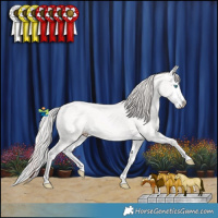 Horse Color:Perlino Splash