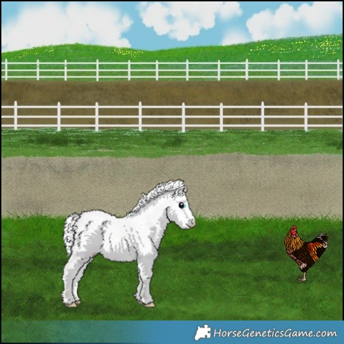 Horse Color:Silver Perlino Dun 