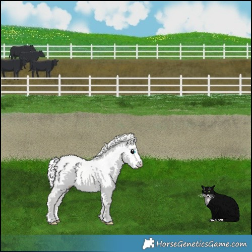 Horse Color:Silver Perlino Dun 