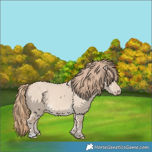 Horse Color:Perlino Dun 