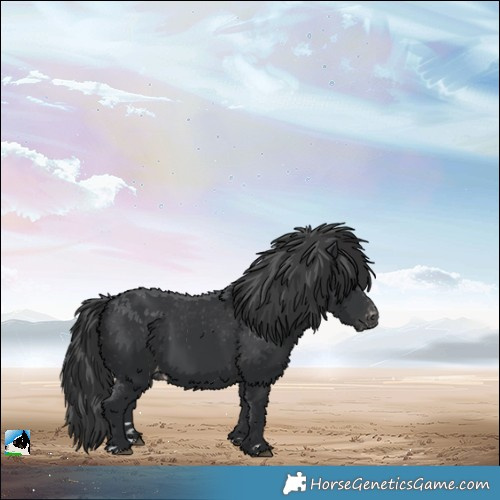 Horse Color:Black Varnish
