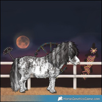 Horse Color:Smoky Black Sabino 