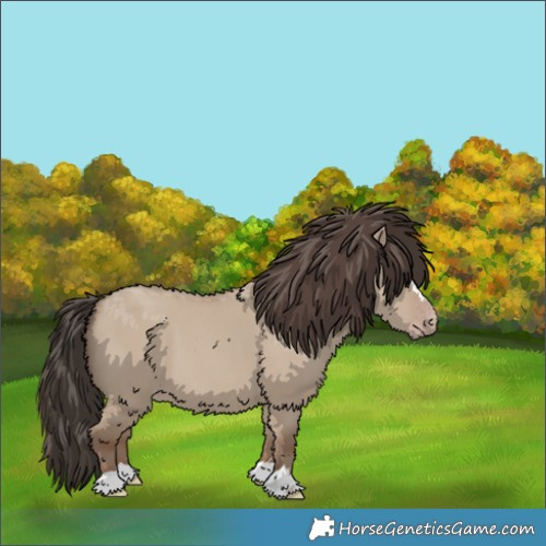 Horse Color:Classic Champagne Dun 