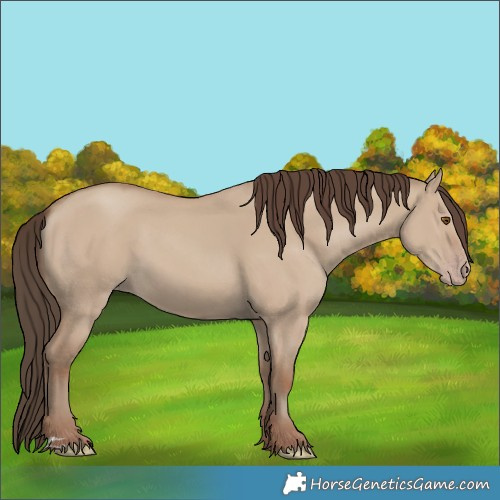 Horse Color:Classic Champagne Dun 