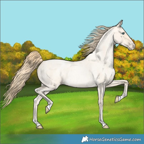 Horse Color:Buckskin Roan Pearl  and Buckskin Roan Pearl 