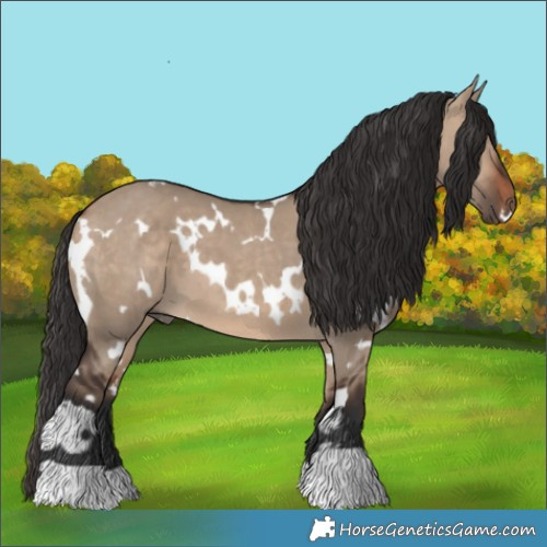 Horse Color:White Spotted Bay Dun