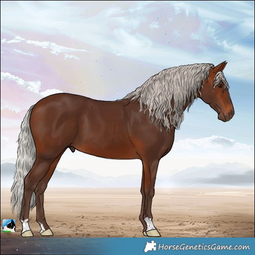 Horse Color:Silver Bay 