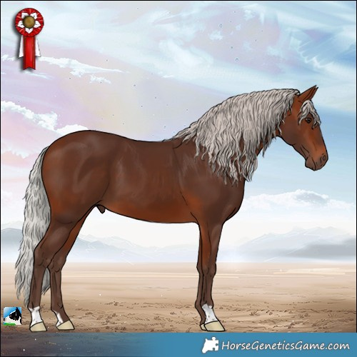 Horse Color:Silver Bay 