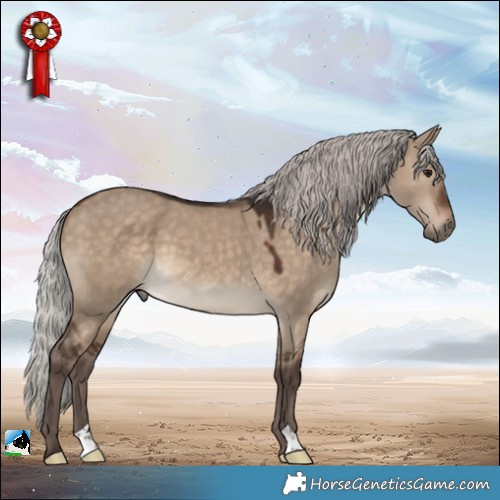 Horse Color:Silver Brown Dun 