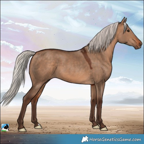 Horse Color:Silver Bay Dun