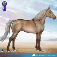 Horse Color:Silver Bay Dun