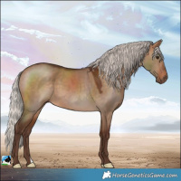 Horse Color:Silver Bay Dun