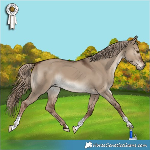 Horse Color:Liver Red Dun 